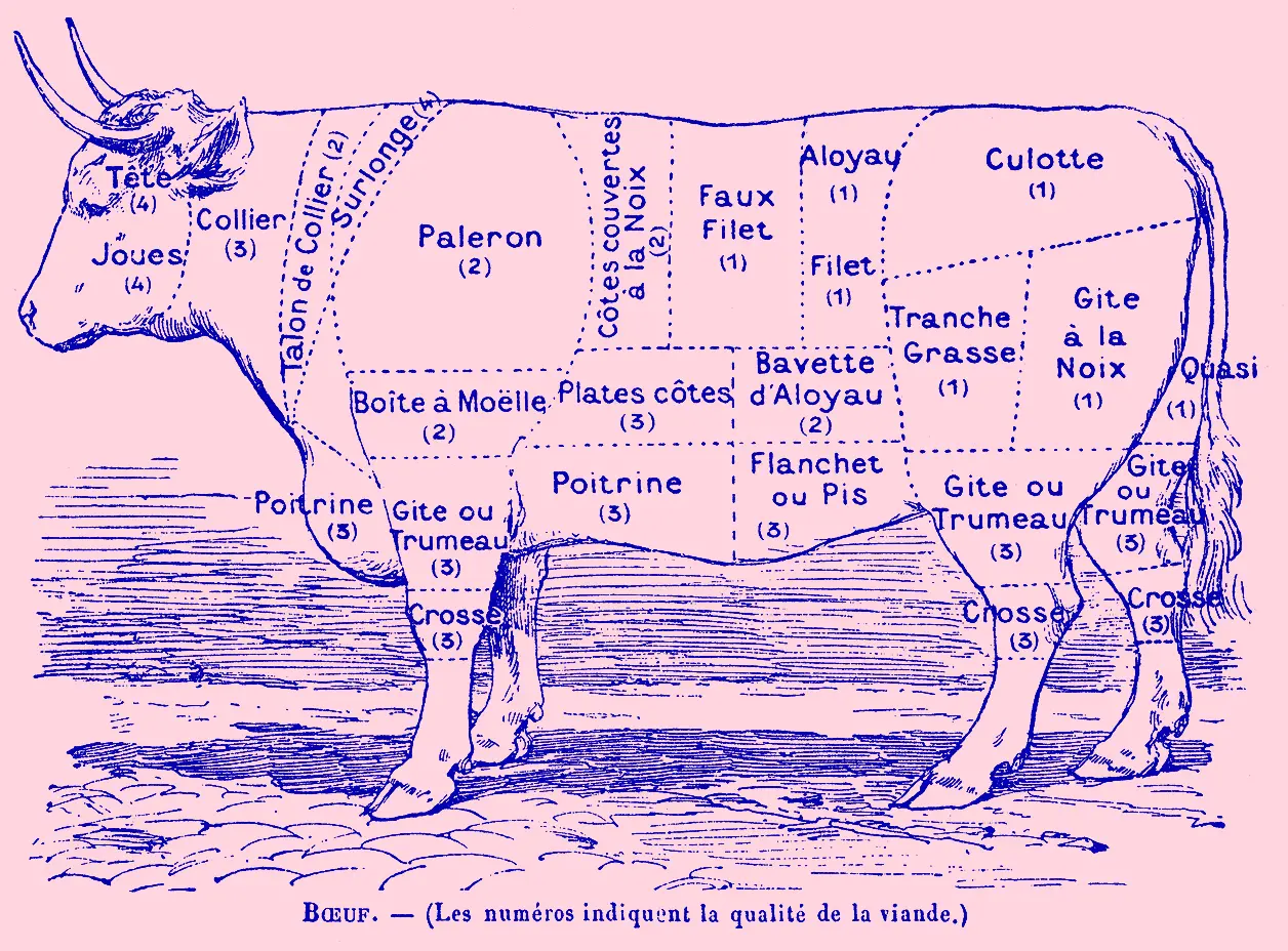 Visuel boeuf